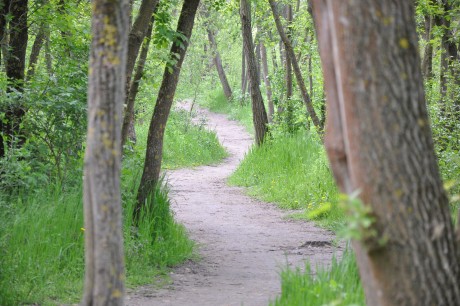 Még csütörtökig várják a fotókat A természet a város ölelésében pályázatra